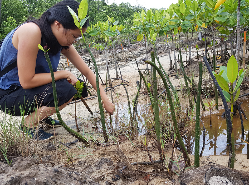 environmental protection in the philippines essay